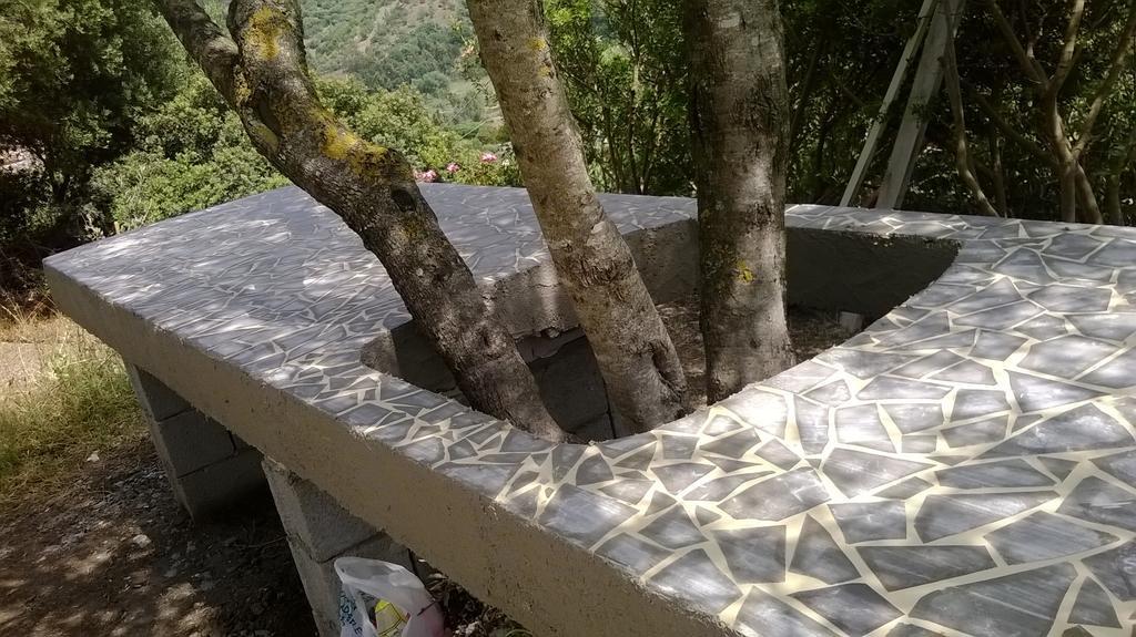 Hotel Valle Del Cedrino Galtellì Dış mekan fotoğraf